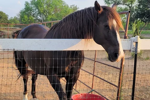 Freedom Lives RV Ranch Resort