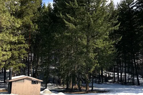 Yellowjacket Sno-Park - Department of Natural Resources