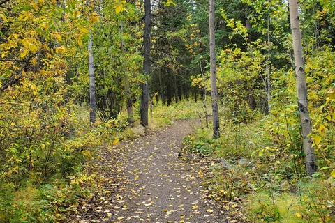 Mount Kidd RV Park
