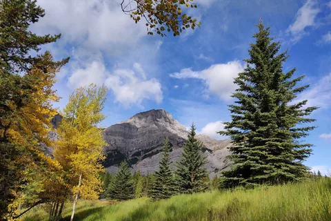 Mount Kidd RV Park