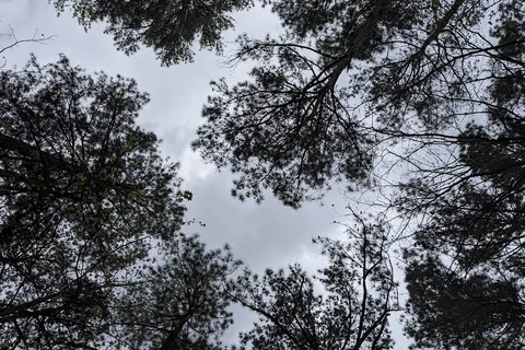Crosswinds - Jordan Lake State Recreation Area