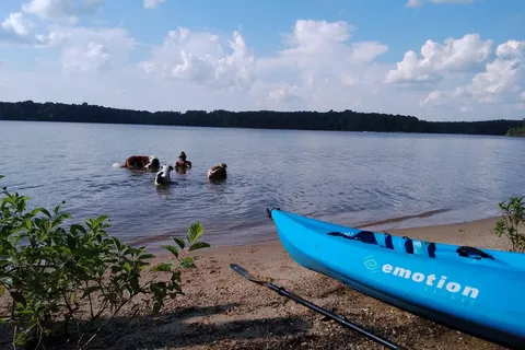 Crosswinds - Jordan Lake State Recreation Area