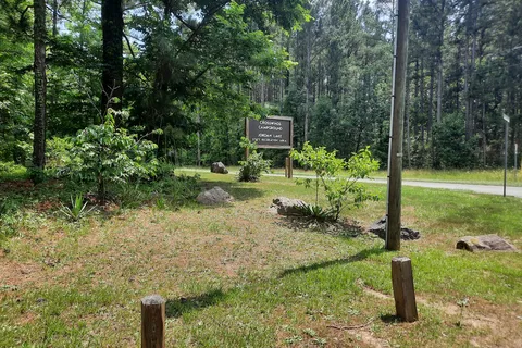 Crosswinds - Jordan Lake State Recreation Area