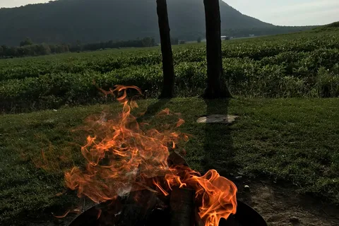 Camping Oasis
