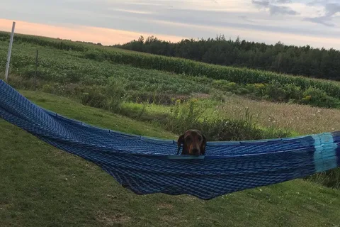 Camping Oasis
