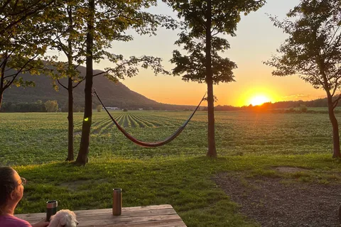 Camping Oasis