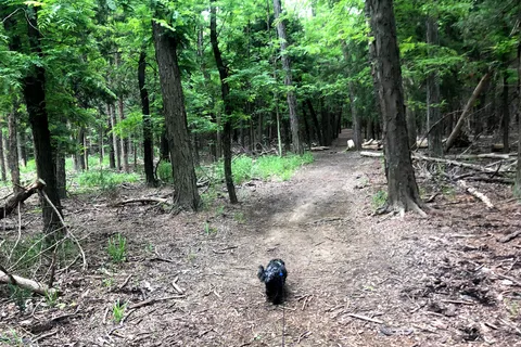 Boiling Springs State Park