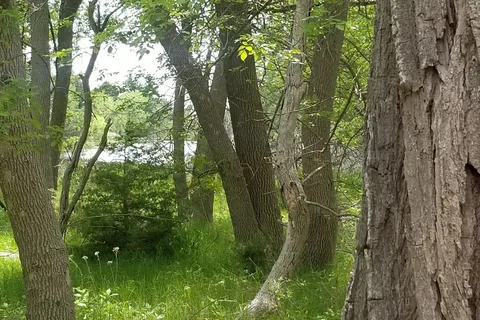 Boiling Springs State Park