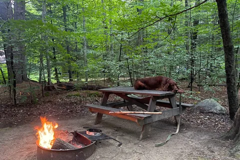 Clarksburg State Park