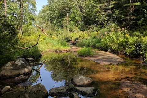 Clarksburg State Park