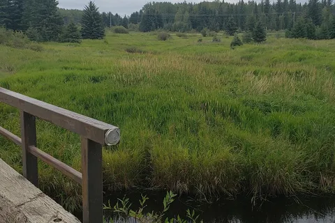 Buck Lake Provincial Recreational Area