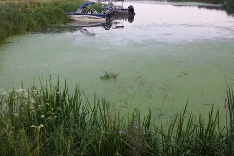 Buck Lake Provincial Recreational Area