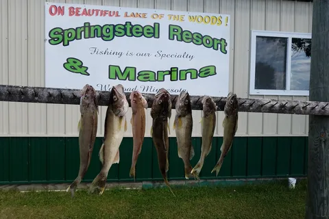 Springsteel Resort and Marina