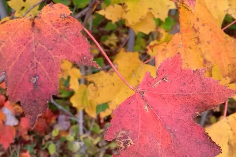 Valleyview Provincial Park