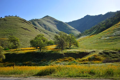 Sequoia Resort & RV Park