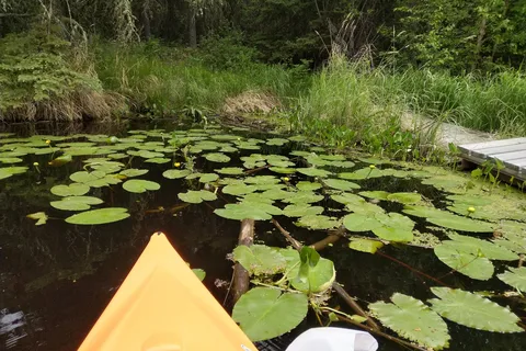 Oles Lake Provincial Recreational Area