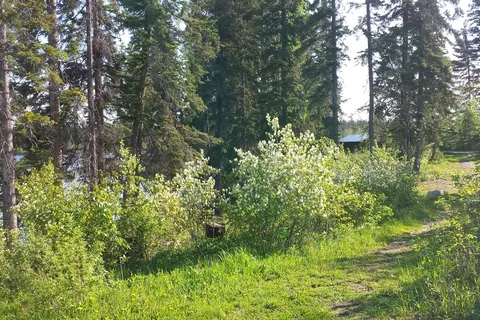 Oles Lake Provincial Recreational Area
