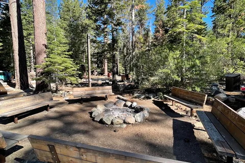 Camp Shelly
