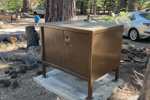 Camp Shelly