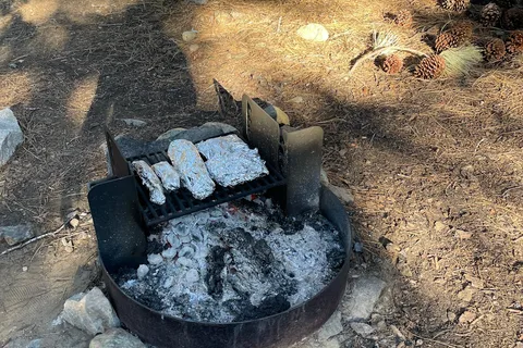 Camp Shelly