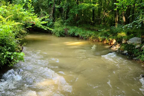 Kymulga Grist Mill and Park