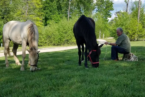 Mammoth Cave Horse Camp