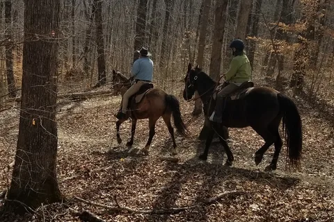 Mammoth Cave Horse Camp