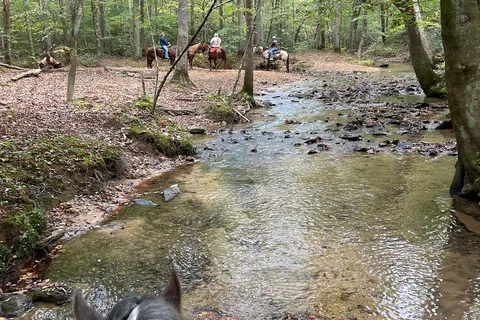 Mammoth Cave Horse Camp