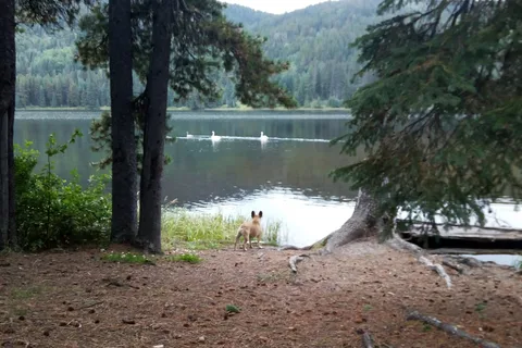 Gunderson Meadows - Two Lakes Provincial Park