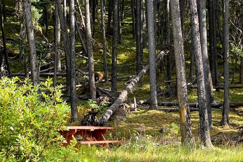 Gunderson Meadows - Two Lakes Provincial Park
