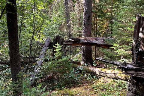 Gunderson Meadows - Two Lakes Provincial Park