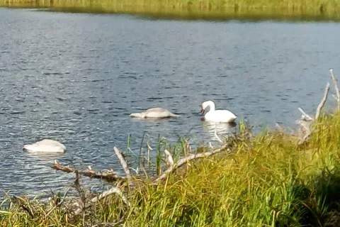 Gunderson Meadows - Two Lakes Provincial Park