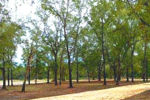 D&R RV Park & Equine Training Center
