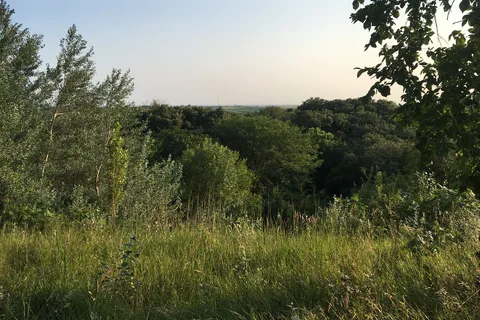 Main Camp - Union Grove State Park