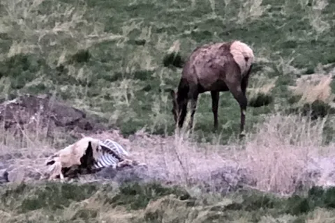 Yellowstone Hot Springs RV and Campground