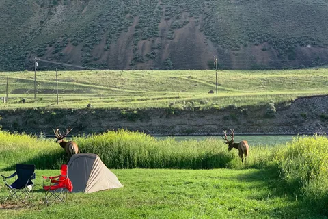 Yellowstone Hot Springs RV and Campground