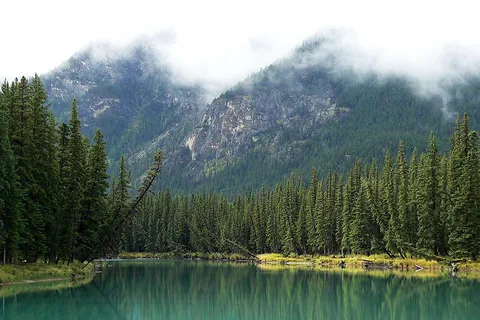 Bow River - Bow Valley Provincial Park