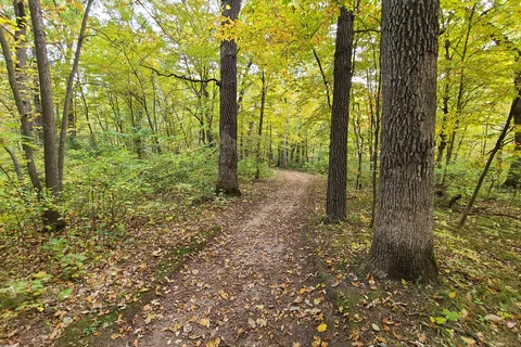 Charles A Lindbergh State Park