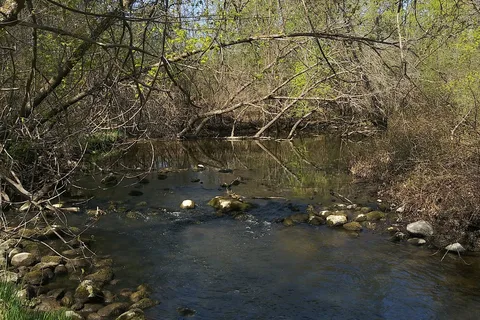 Charles A Lindbergh State Park