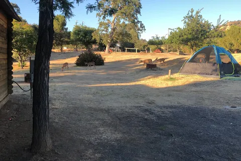 Lake Tulloch RV Campground and Marina