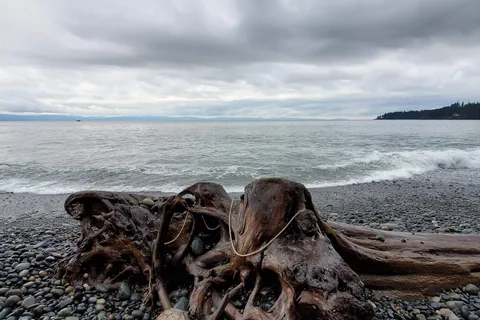 French Beach Provincial Park