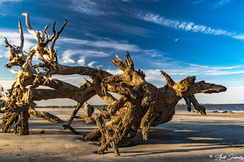 Jekyll Island Campground