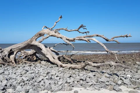 Jekyll Island Campground