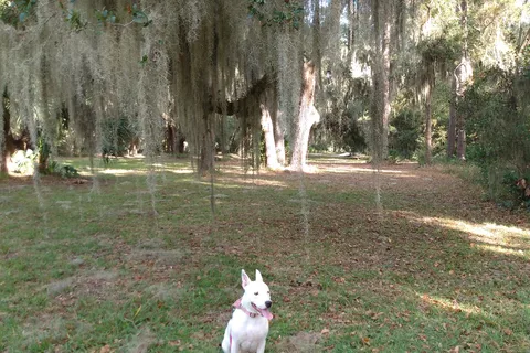 Jekyll Island Campground