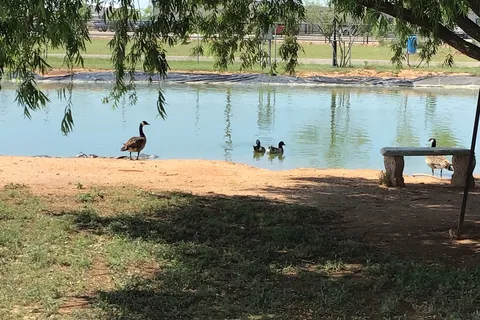 Mesquite Oasis RV Park and Corporate Housing
