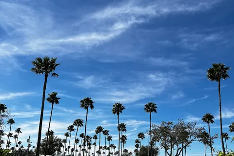 Paradise Park RV Resort