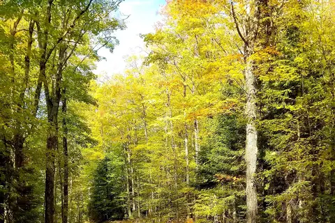 Presque Isle Campground