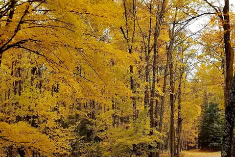 Presque Isle Campground