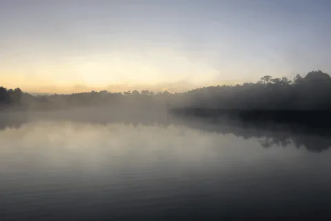 Avalon Landing RV Park