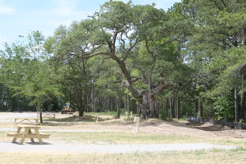 OBX Campground